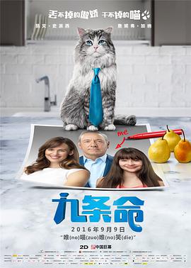 欧美亚洲视频在线观看