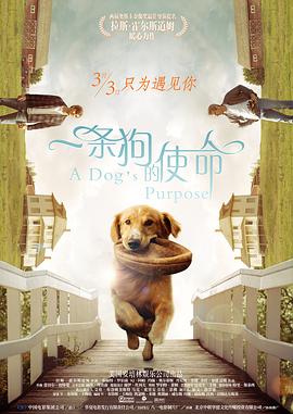 亚洲成人麻豆