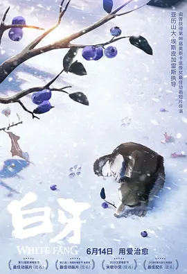 不卡av电影在线