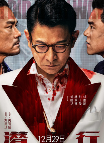 欧美视频在线观看一区